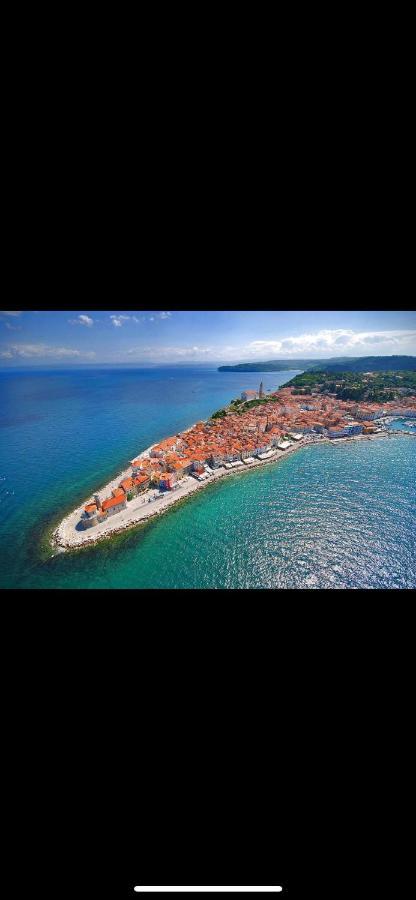 Star Apartment Piran Dış mekan fotoğraf