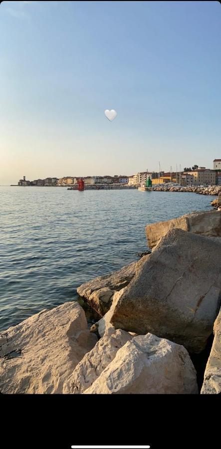 Star Apartment Piran Dış mekan fotoğraf